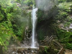 -莫里热带雨林景区