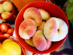 -无锡新湖铂尔曼大酒店