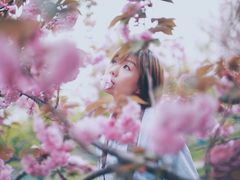-高东镇樱花园