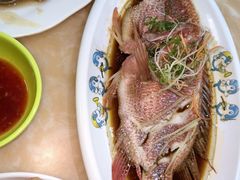 -小海豚•老字号海鲜餐厅(天涯店)