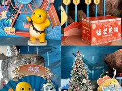 -海合安天津极地海洋公园