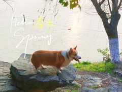 -八大山人梅湖景区