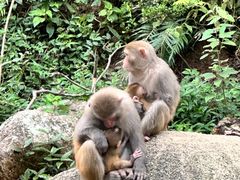 -姑婆山旅游区