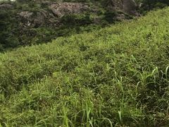 -萍乡武功山风景名胜区