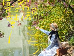 -东湖磨山景区樱花园-停车场