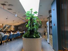 -悦海·家宴·冰花皮皮虾大锅贴(宝龙店)
