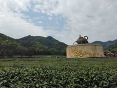 -听风阁农家私房菜茶楼(龙坞店)