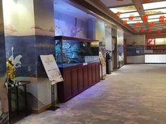 -悠然湯·汗蒸汤泉会馆