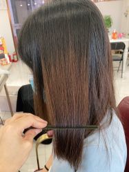 点击看大图 -镁连社·美联社