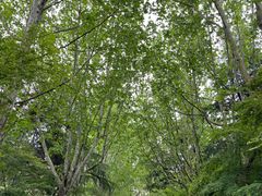 -上海吴淞炮台湾国家湿地公园