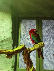 -Zoolung Zoolung动物主题公园(海信广场店)