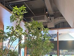 -gaga(深圳福田星河COCO Park店)