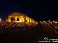 -秀丽东方