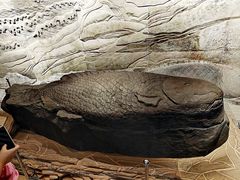 -白鹤梁水下博物馆