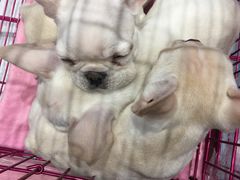 -必胜客(茂业店)