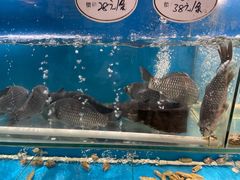-高家烧鸽子烧烤店63年