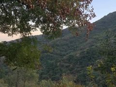 -香山公园-东宫门售票处