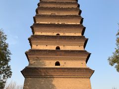 -西安博物院