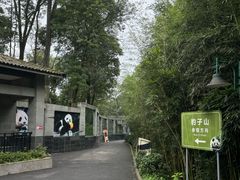 -碧峰峡风景区