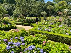 -上海共青森林公园