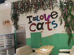 等位区-藏猫猫咖啡主题馆(中央大道店)