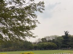 -青枫公园