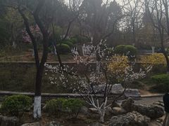 -佛慧山