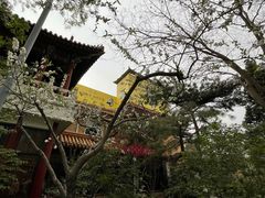 -新川办餐厅