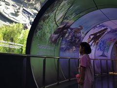 -房山世界地质公园博物馆