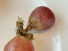 -重庆尼依格罗酒店·欣厨Niccolo Kitchen