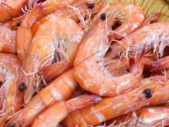 -蚝得喜海鲜(东城店)