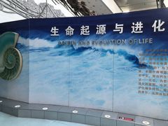 -中国地质大学逸夫博物馆