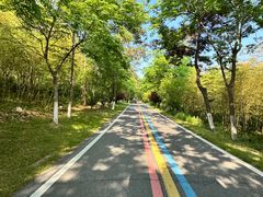 -南京金牛湖风景区