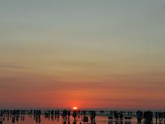 -南汇新城海滩