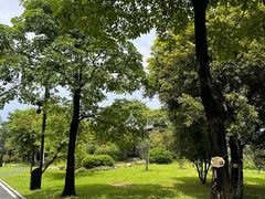 -海珠湖公园