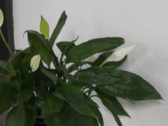 -建德食府·十八年建德菜(天目里国际街区店)