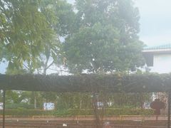 -侯臣咖啡文化村