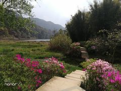 -广州市石门国家森林公园