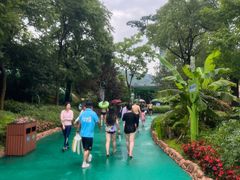 -苏州乐园森林水世界