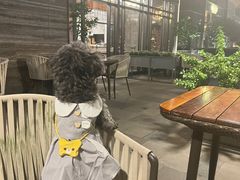 -OGGI TRATTORIA PIZZERIA(深业上城店)