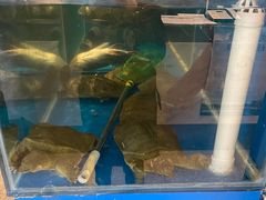 -小湘旺臭鳜鱼·新湘菜(马连道路店)