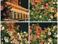 -长沙火车站(地铁站)