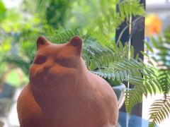 -星叶·东南亚料理(宁波万象汇店)