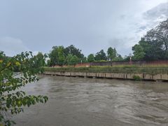 -生宇山珍野生菌汤锅•始于2002(双流古塔店)