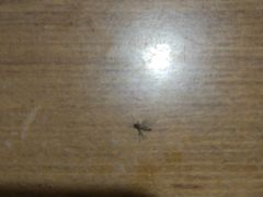 -龙达温泉生态城