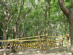 -北京市海淀区锦绣明天莲宝幼儿园