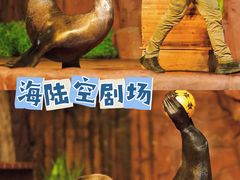 -长鹿旅游休博园