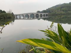 -重庆园博园