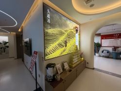 -头道汤头疗养生馆