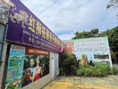 -荔枝红五号农庄